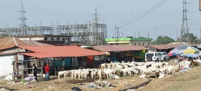 Cow Factory 1